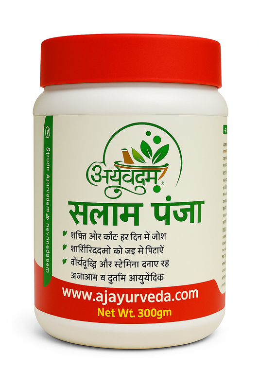 Salam Panja Rasayan – ताकत का पराक्रम, जोश की पहचान!